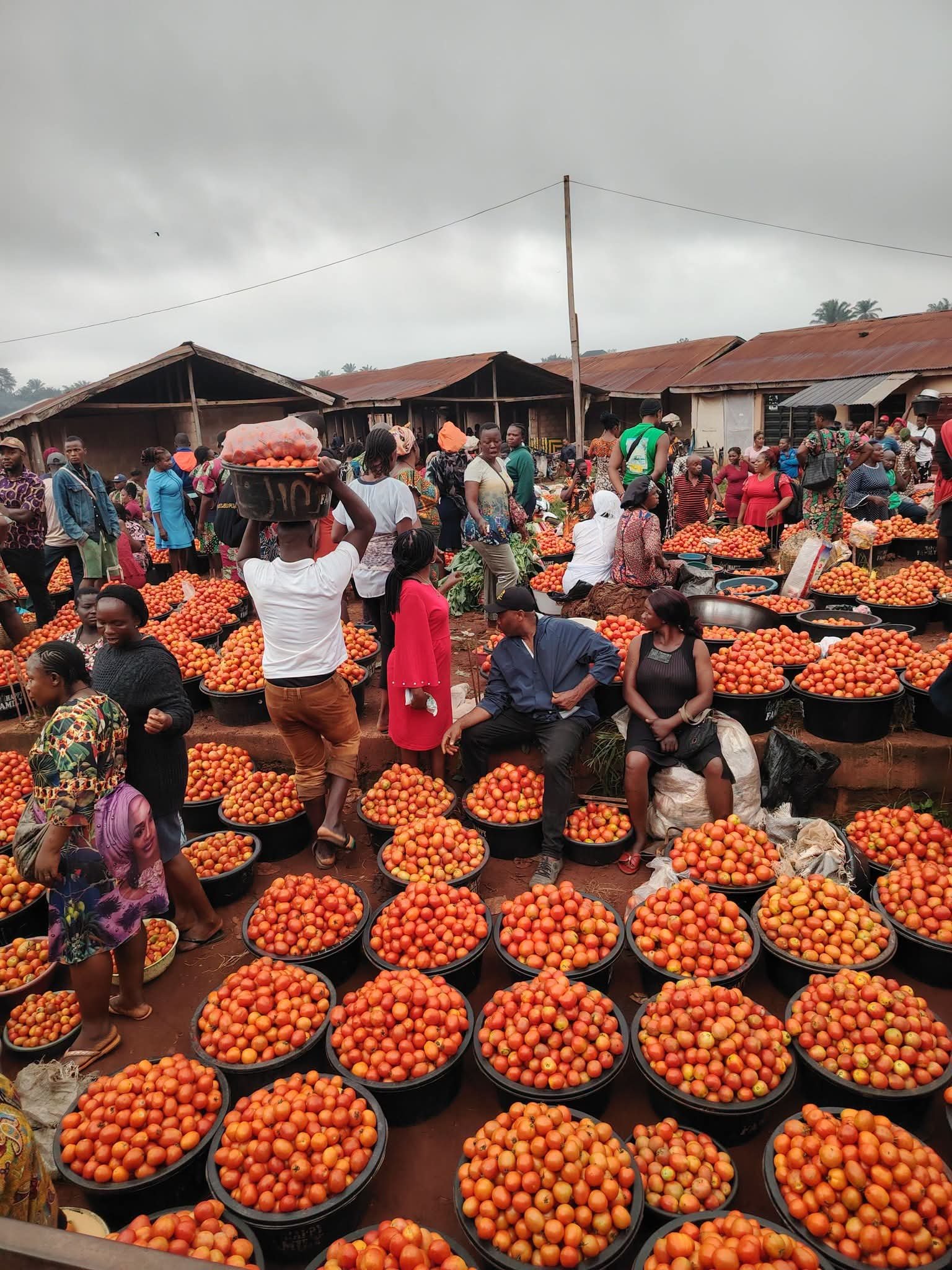 IKPA MARKET NSUKKA: FARMERS AND TRADERS DECRY ABANDONED AGRICULTURAL POTENTIAL AND GROWING INSECURITY IN ENUGU