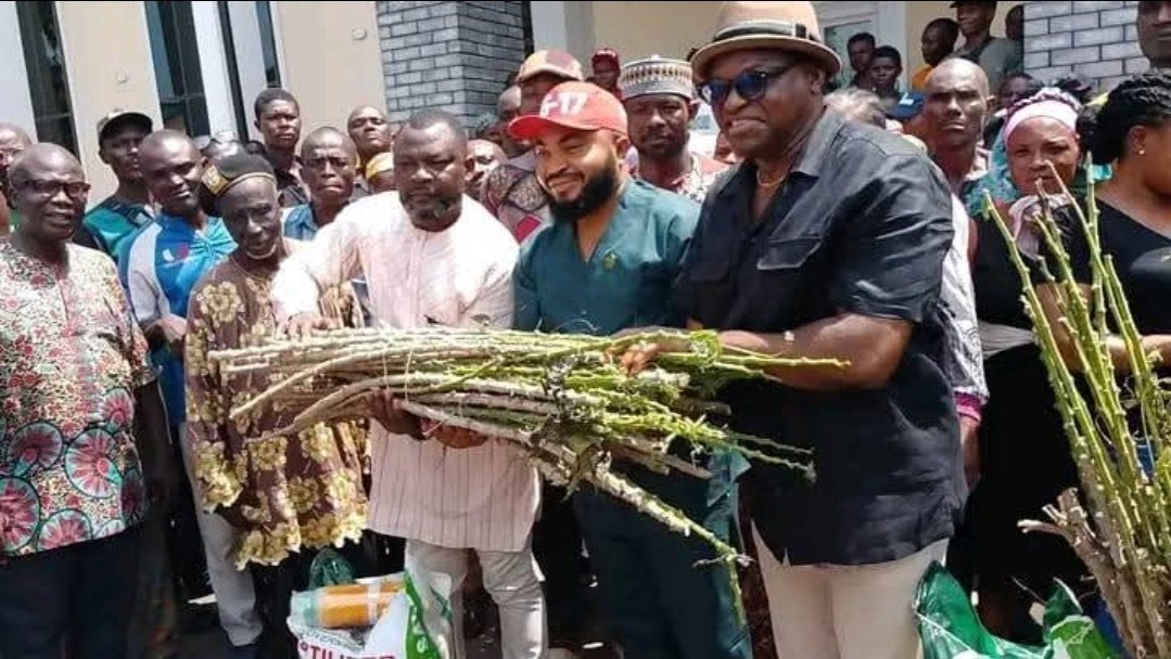 Cassava Stem Empowerment Initiative For Isi-Uzo Graduates Triggers Debate Over Youth Opportunities And Farm Security