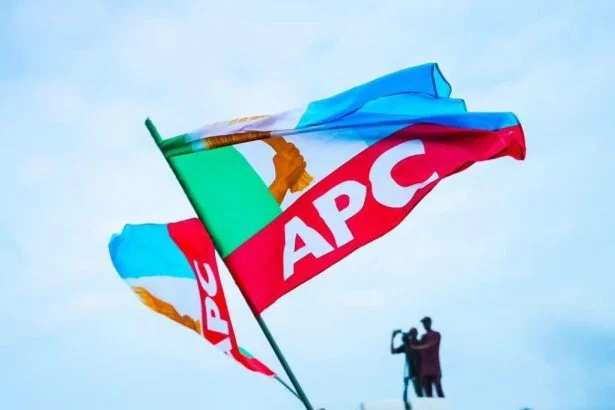 Tensions Emerge in APC Enugu Over Local Government Primary Elections