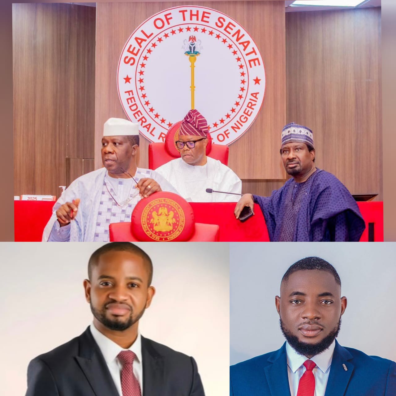 Senate Summons SEDC Leadership, Demands Detailed Account of Spending and Project Implementation