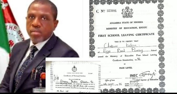 SENATOR CHUKWU FACES SCRUTINY AS INEC RECORDS RAISE QUESTIONS OVER PERSONAL HISTORY