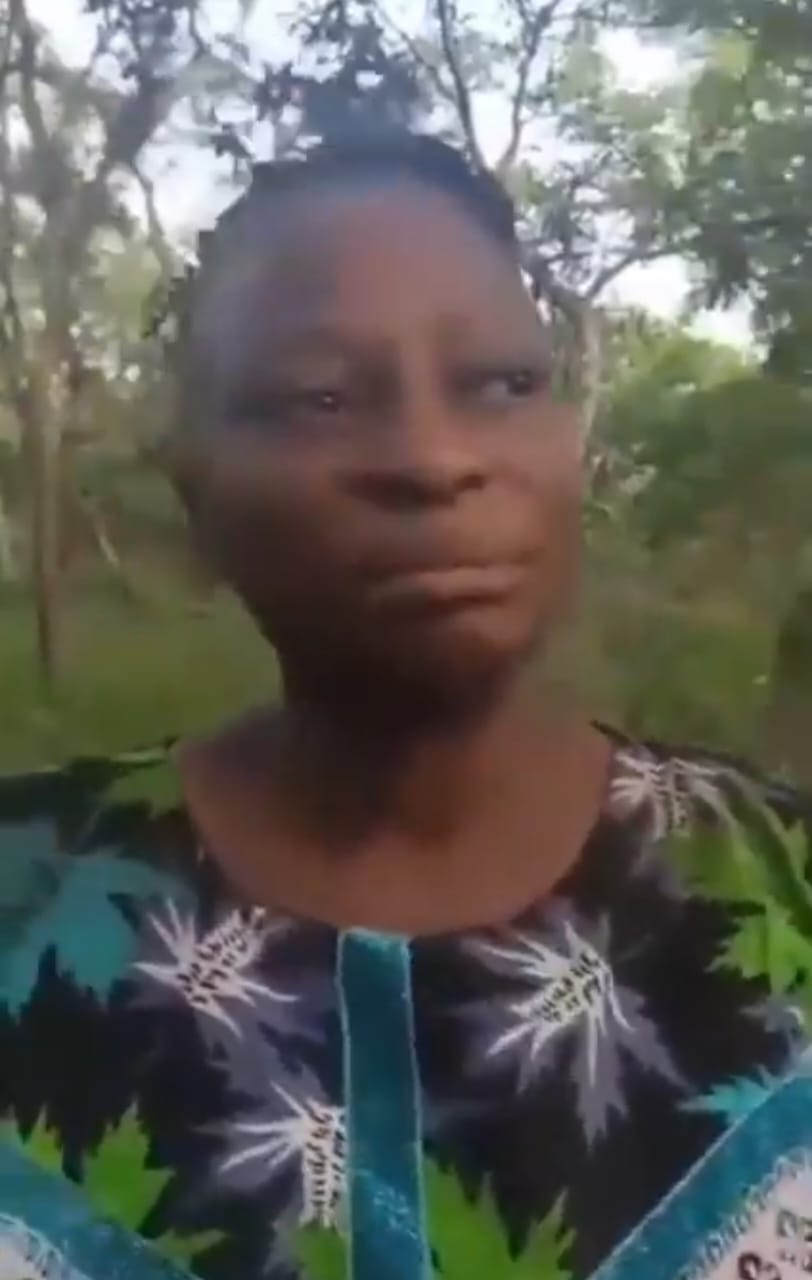 Armed Assailants Abduct Pupils and Teachers in Multiple School Attacks in Oyo State