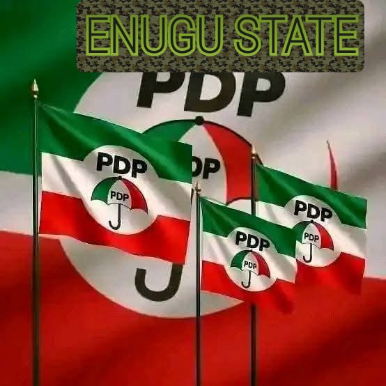 Enugu  PDP Raises Concern Over Alleged Gunmen Attack on Akpugo Ward Meeting, Nnaji and Nweke Call for Urgent Security Action