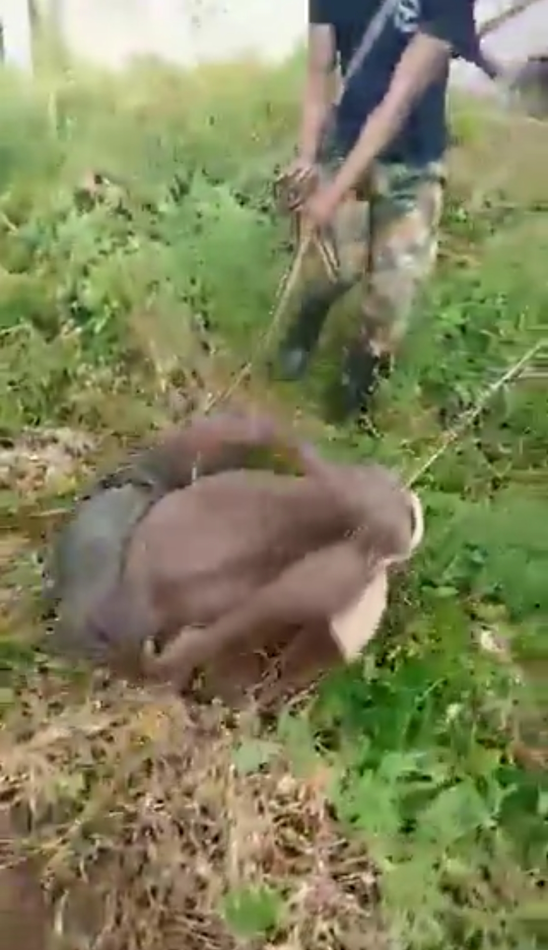 Viral Execution Video Fuels Debate Over Security, Justice, and Vigilantism in Nigeria